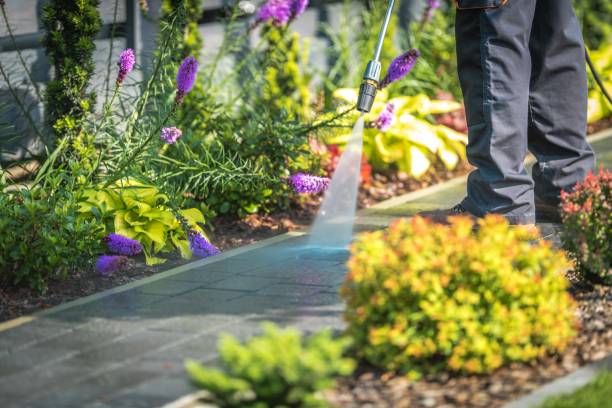 Best Sidewalk and Walkway Cleaning  in Port Barrington, IL