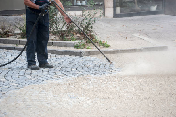 Best Dumpster Area Cleaning  in Port Barrington, IL